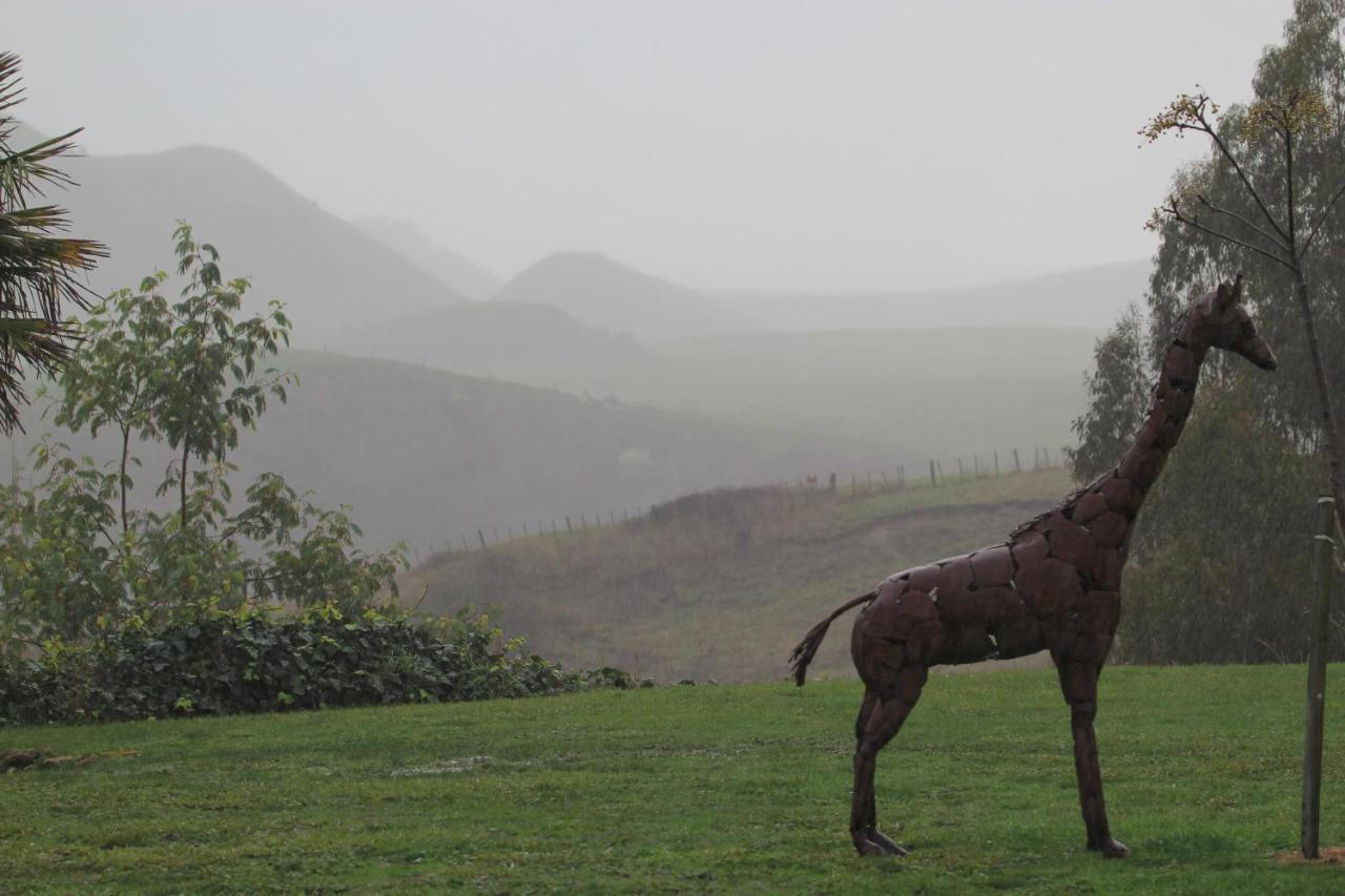 Cape South Estate - International Award-Winning Country Estate With Pacific Views Havelock North Buitenkant foto