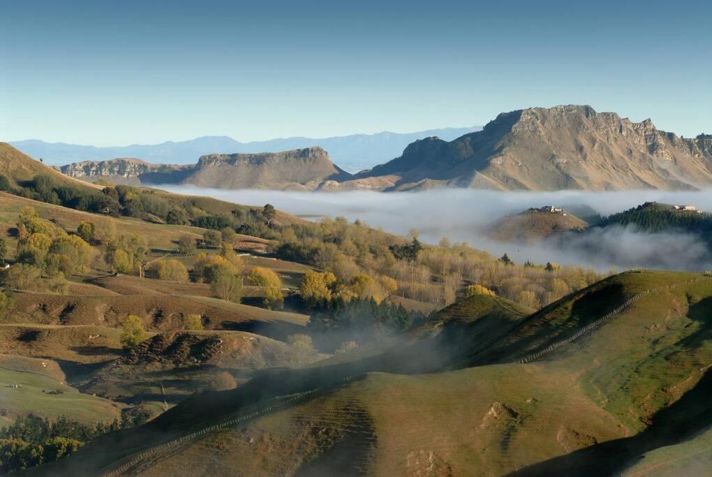 Cape South Estate - International Award-Winning Country Estate With Pacific Views Havelock North Buitenkant foto