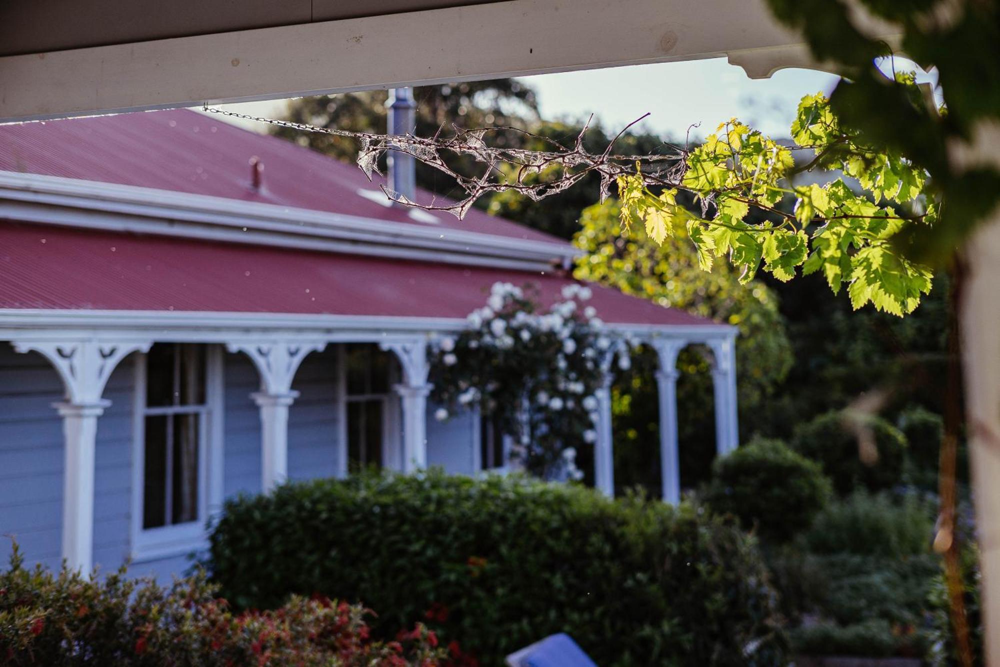 Cape South Estate - International Award-Winning Country Estate With Pacific Views Havelock North Buitenkant foto